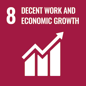 SDG 8